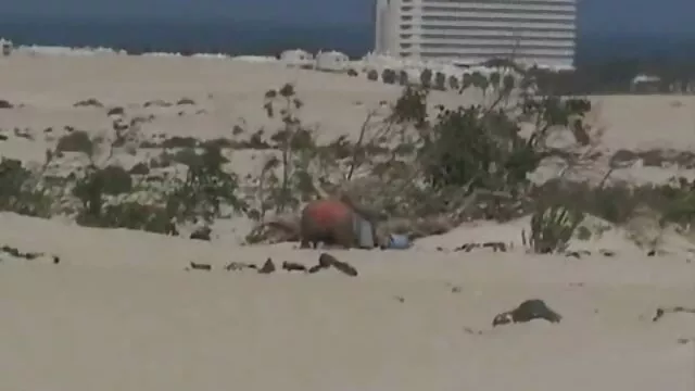 Mamada madre se folla a novio de su hija y follada en la piscina con una preciosa rubia